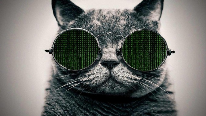 刘强东看到了什么，才去搞外卖?
